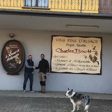 Sollaris 1ere Etage A 11km De Europa-park *